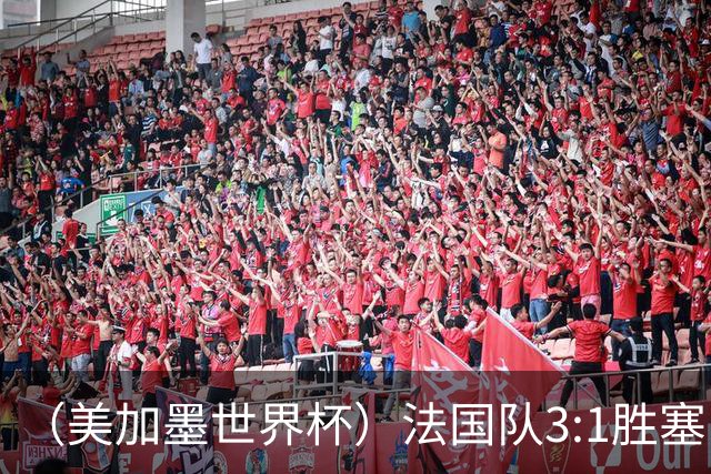 （美加墨世界杯）法国队3:1胜塞内加尔 姆巴佩梅开二度